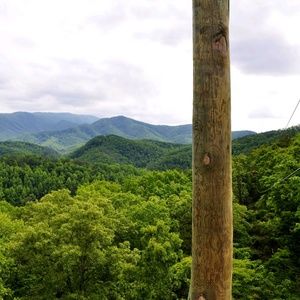 Meet your Posher, Shaniece